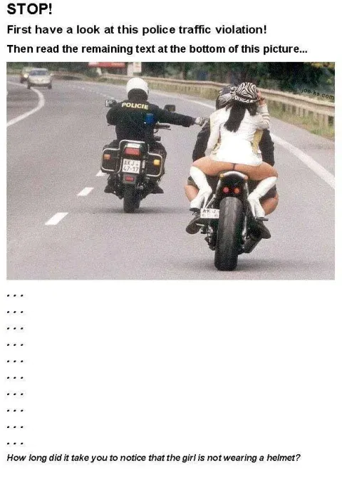 Violation.webp