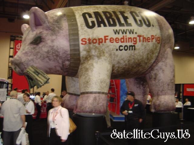 pig.jpg