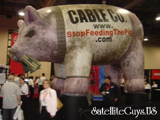 pig.webp