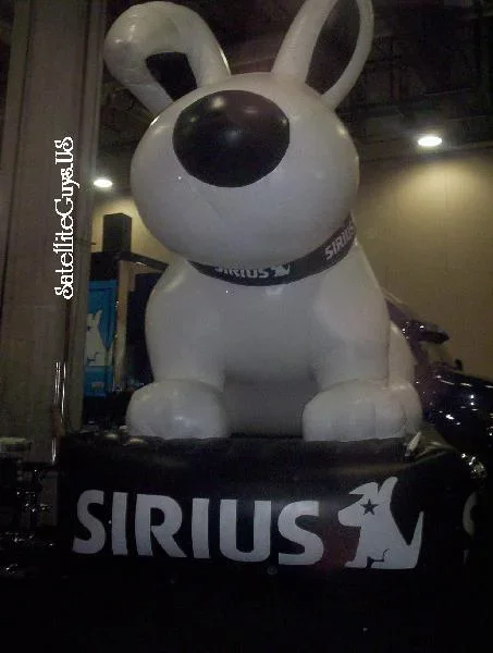 siriusdog.webp