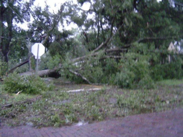 Road Closed.webp