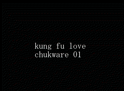 kungfu.gif