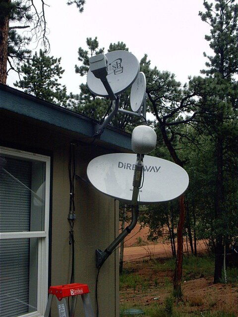 Dish-1.JPG