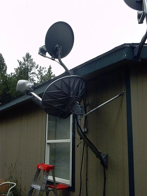 Dish-2.webp