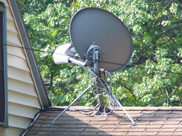mp's dish.JPG