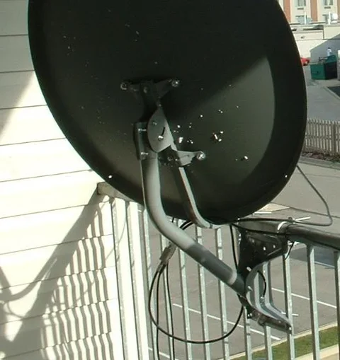mydish.webp