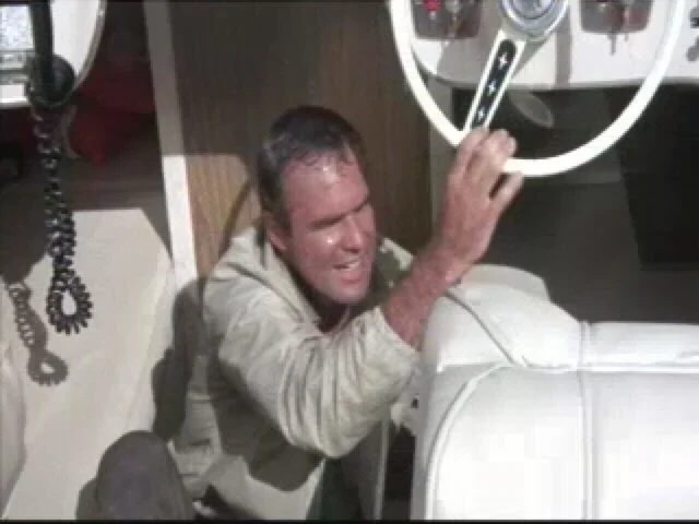 flippercameo.webp