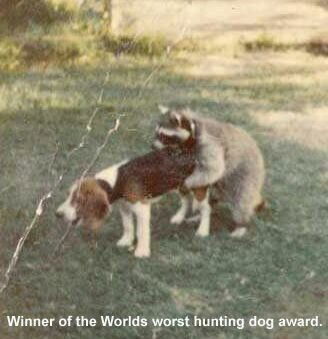 worsthuntingdog.jpg