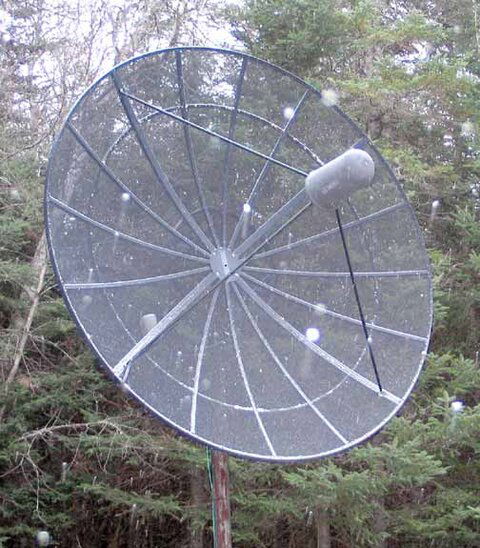dish.jpg