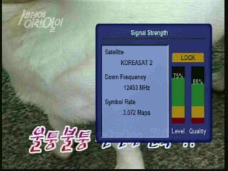 Image_2004_10_03_13_16_2.jpg
