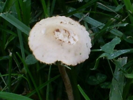 Pict0166.JPG