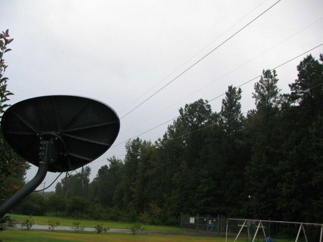 dish 001.jpg