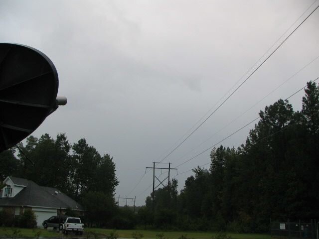 dish 003.jpg
