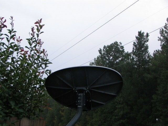 dish 006.jpg