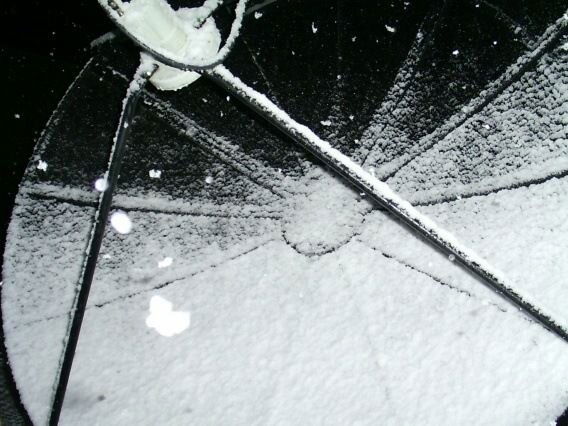 Pict0031.JPG