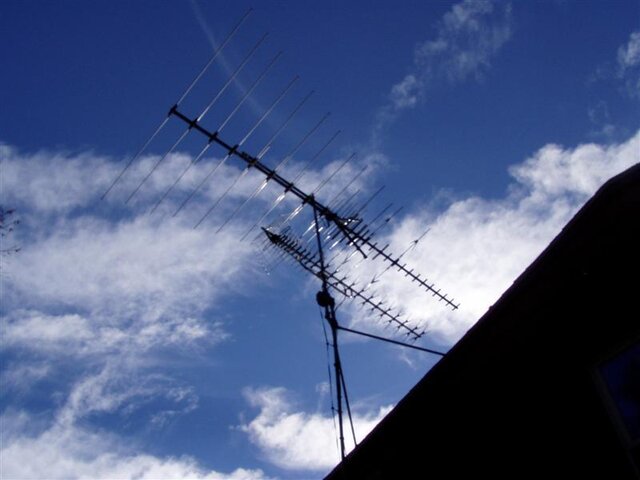 P1010018 (Medium).JPG