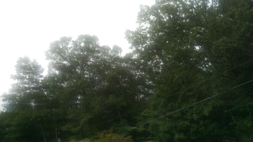 IMAG0171.jpg