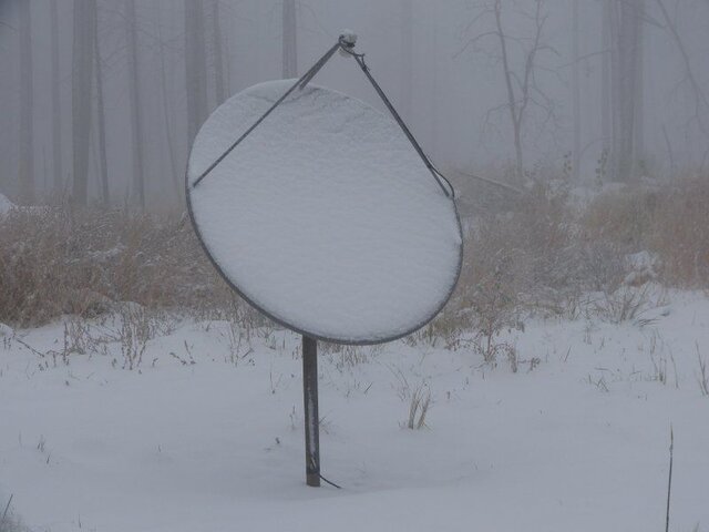 30w Dish.jpg