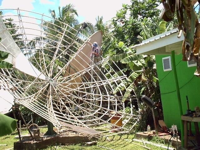 SamoanSpider.jpg