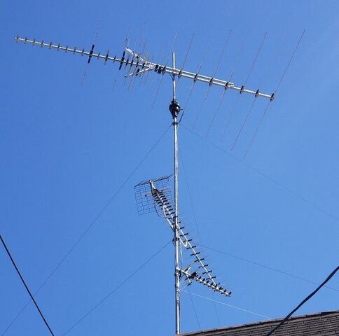 antennas20.jpg