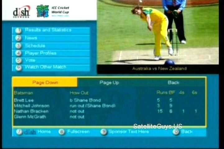 dish cricket.JPG