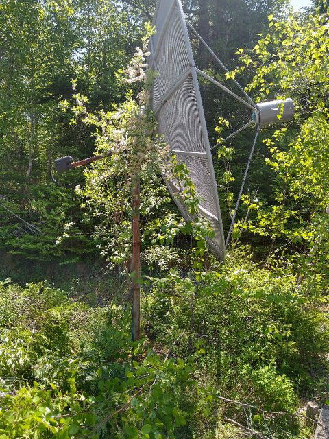 10ft Dish Free.jpg