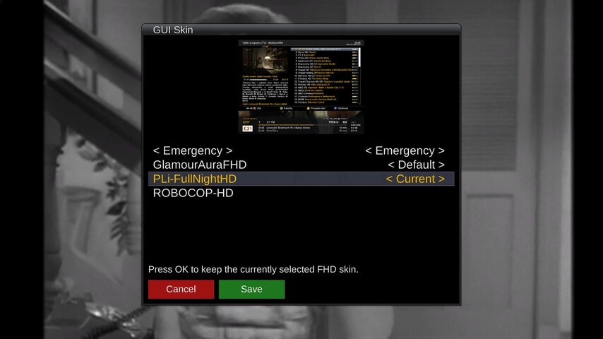 skin2.jpg