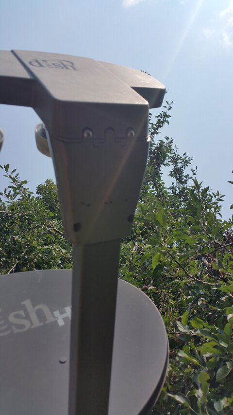 20210721_122949.jpg