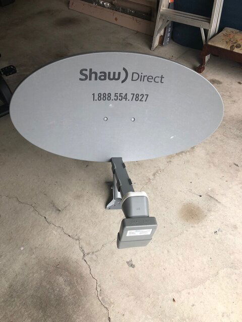 dish.jpg
