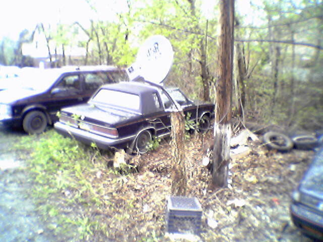 Picture016a.jpg