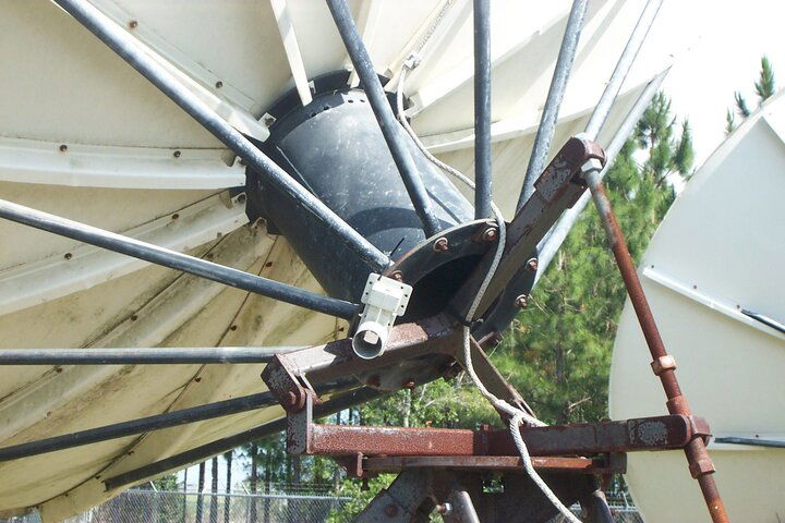BigDish 003.jpg