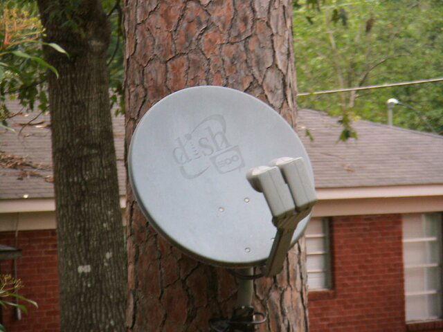 neighbor's dish.jpg