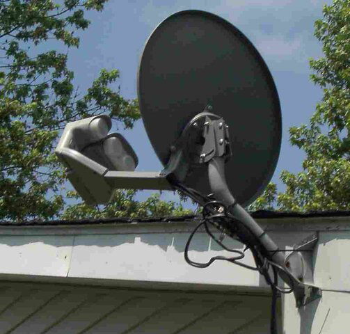 dish1.jpg