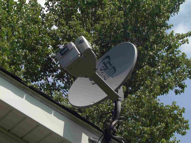 dish2.jpg