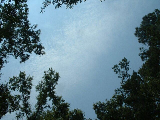 DSCF0019.JPG
