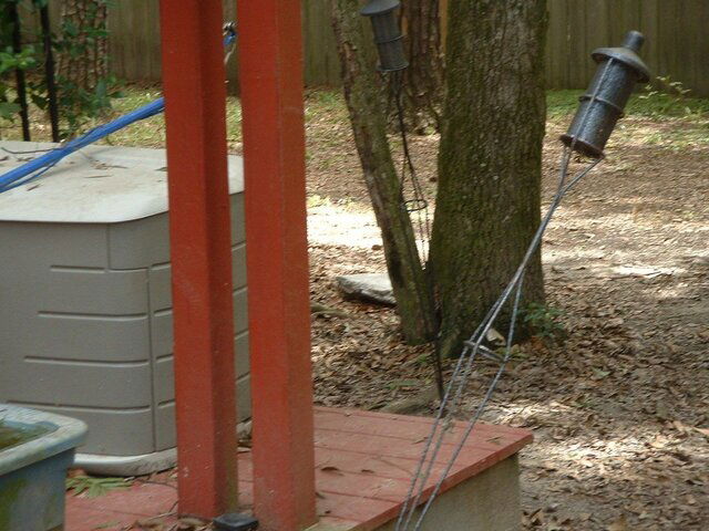 Oaktree behind where I hit 119 in backyard..JPG