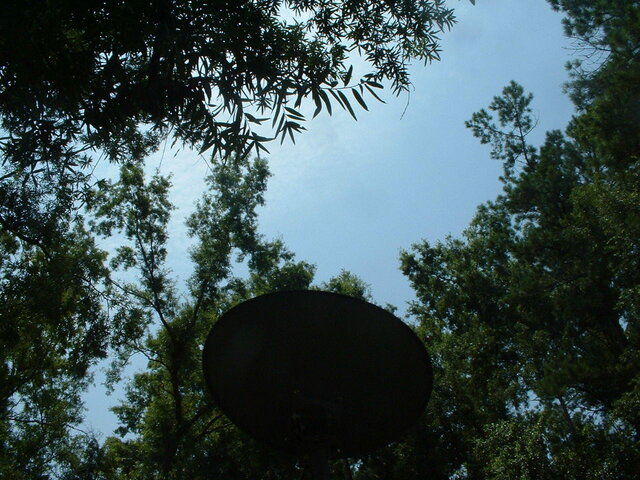 View behind the dish.JPG