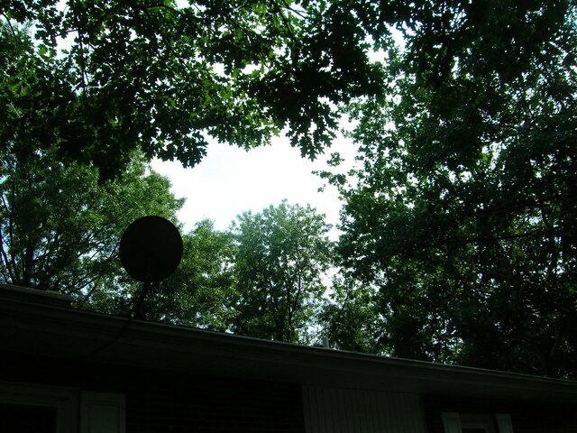 DSCN0513.JPG