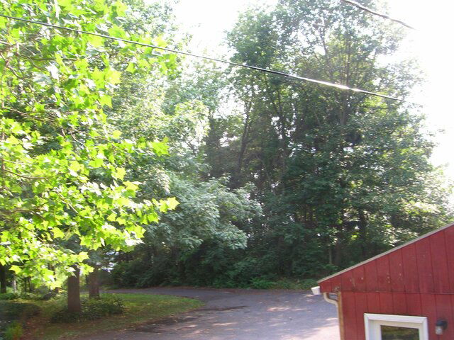 DSCN0516.JPG