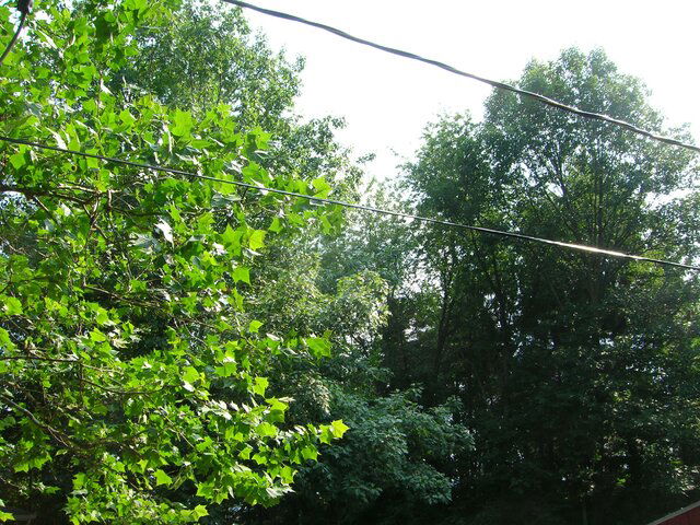 DSCN0517.JPG