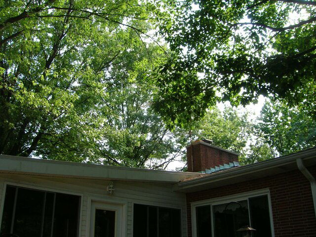 DSCN0519.JPG