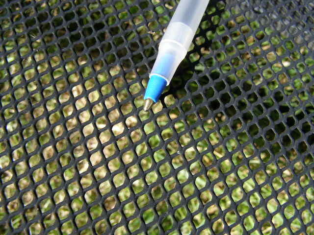P8100004.JPG