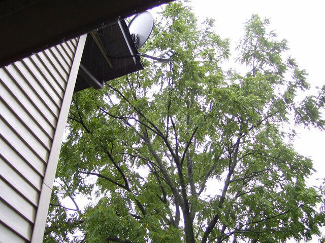outside sat 002.jpg