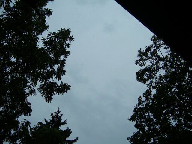 outside sat 001.jpg