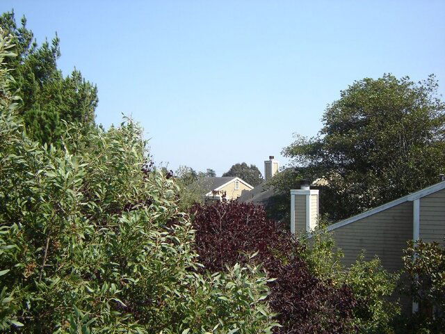 Location 1.jpg