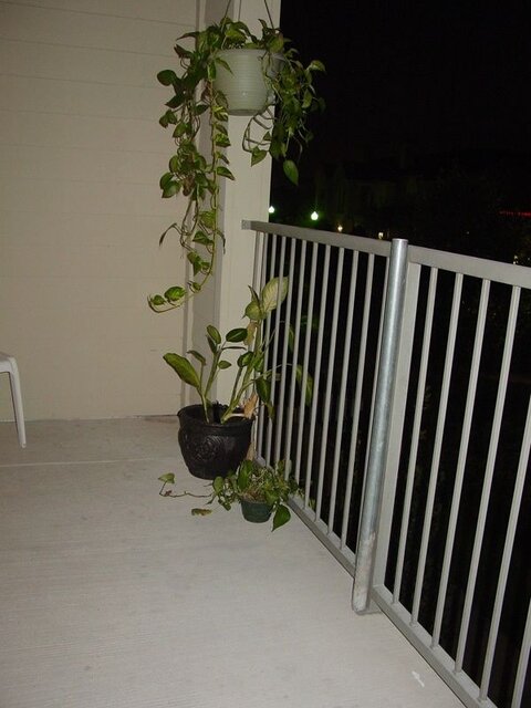DSC00523.JPG