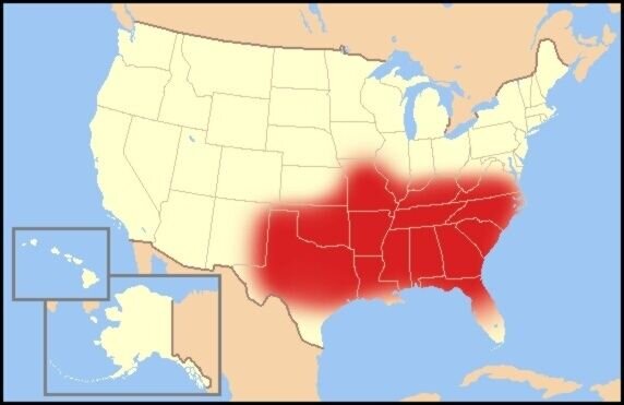 BibleBelt.jpg