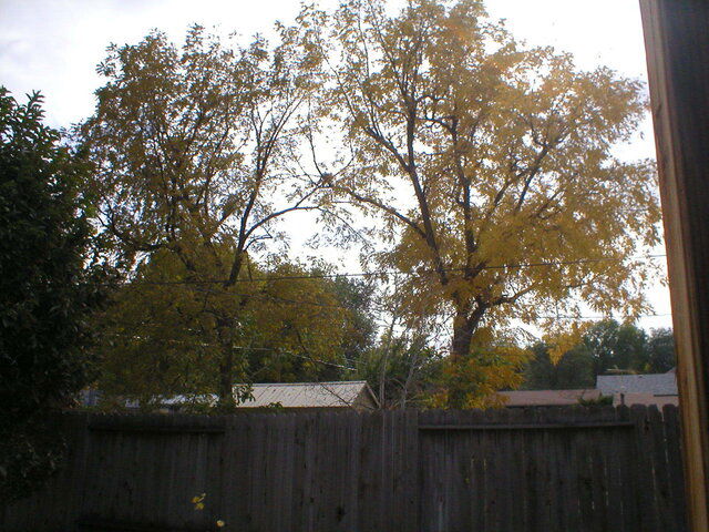 P1010003.JPG