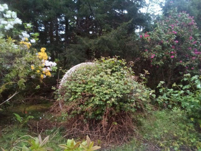 IMG_20250511_201825.jpg
