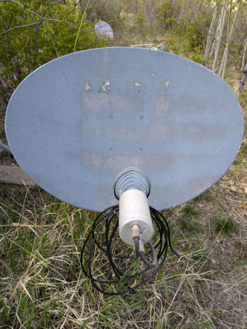 PXL_20250517_212734417.jpg